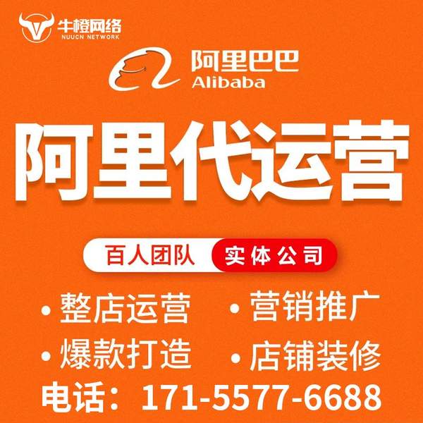 韶山电商代运营