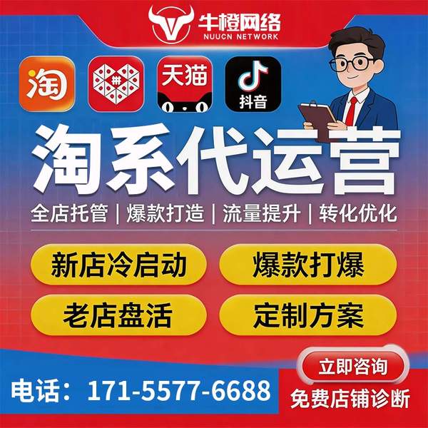韶山电商代运营