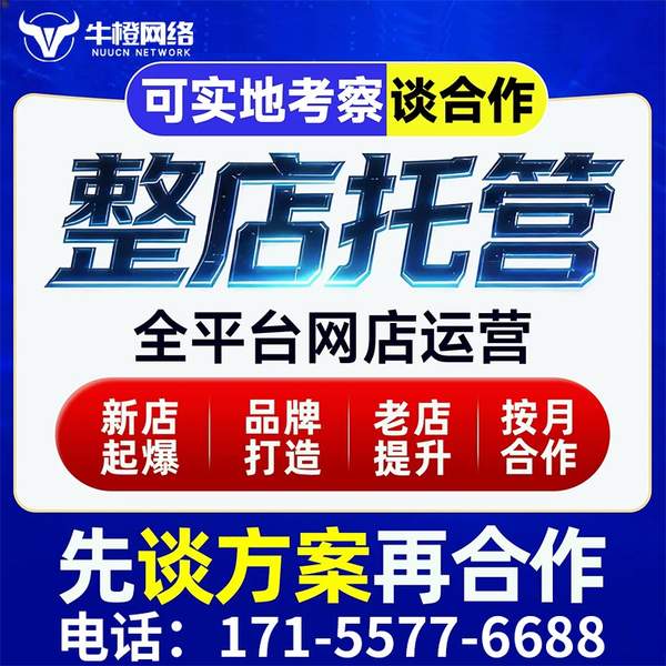 韶山电商代运营