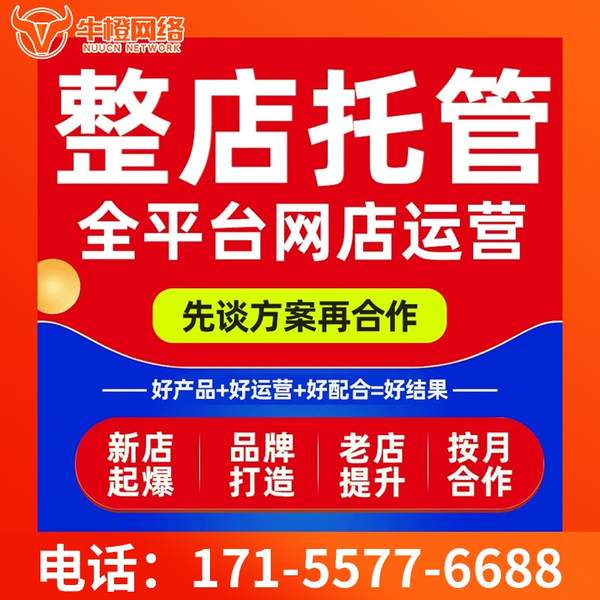 韶山电商代运营
