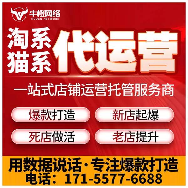 韶山电商代运营